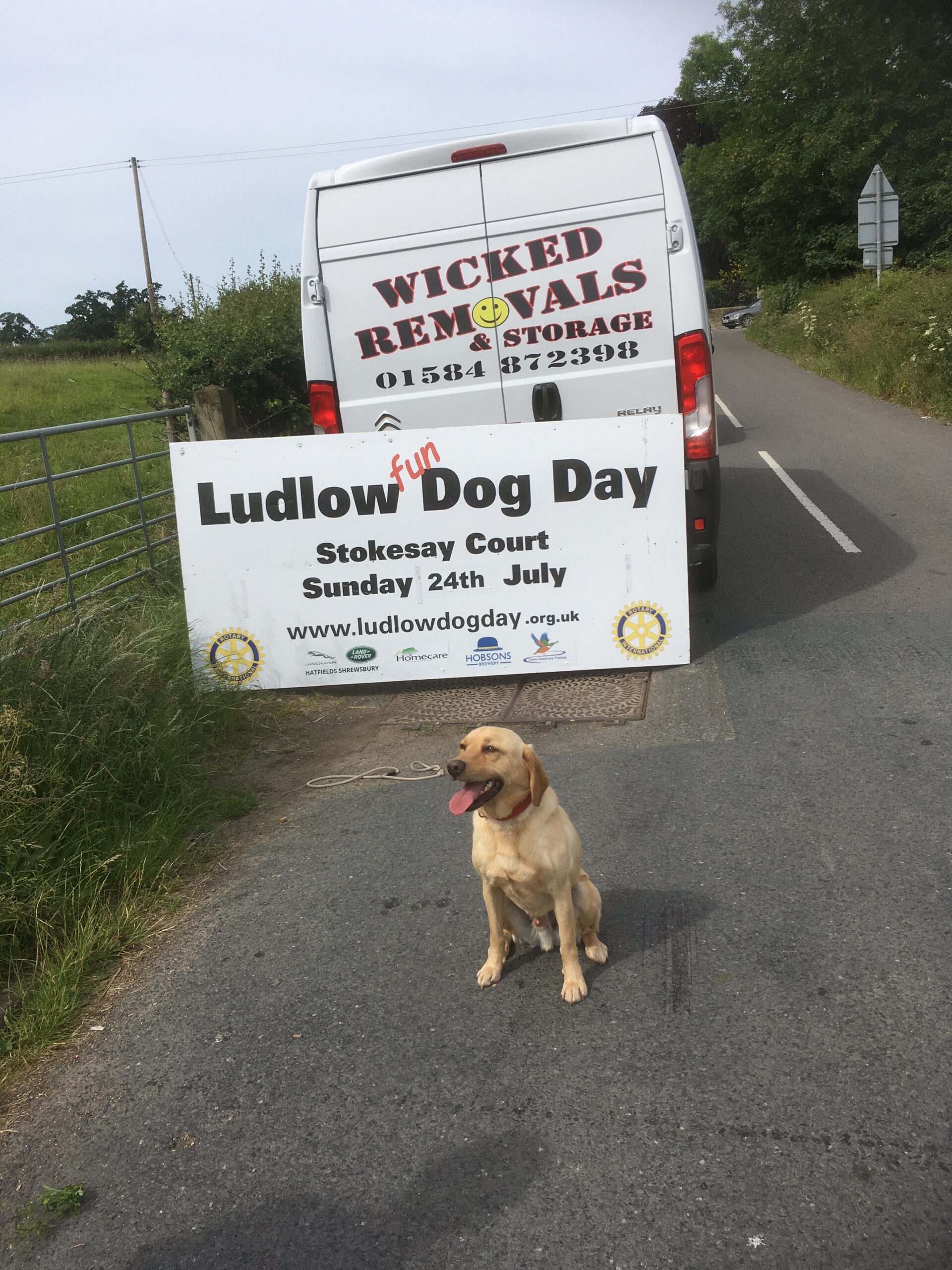 The Signs are Up! Ludlow Dog Day