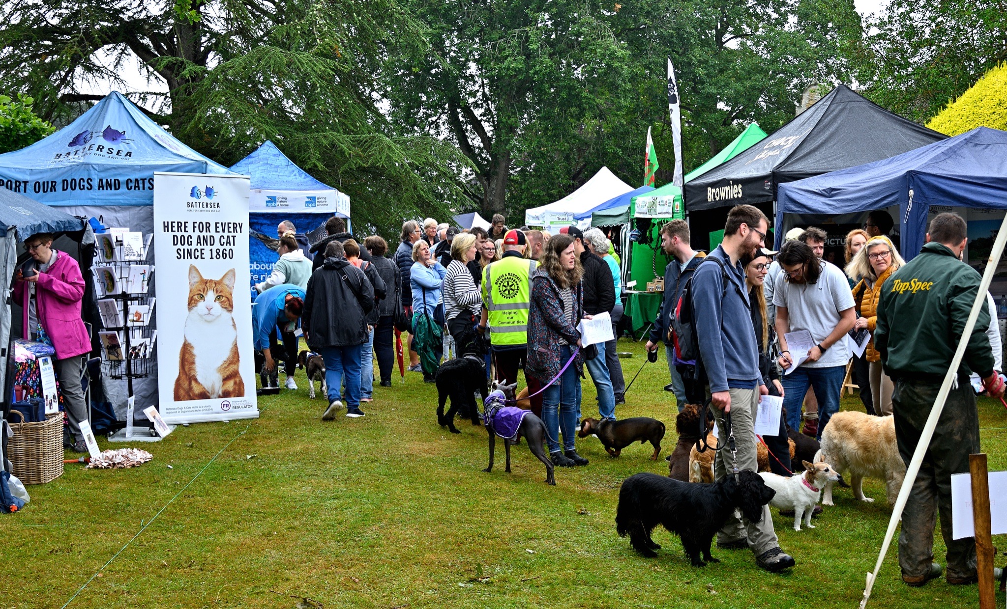 Stall Holder Details Ludlow Dog Day